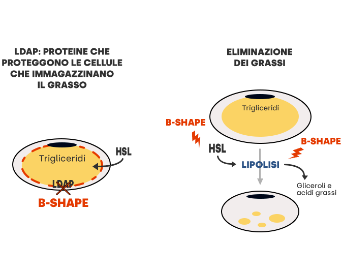 Schema efficacia